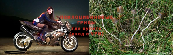 ешки Елабуга
