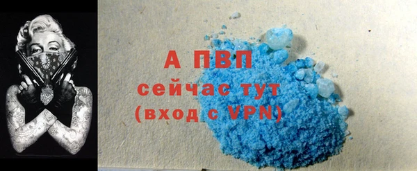 стаф Весьегонск