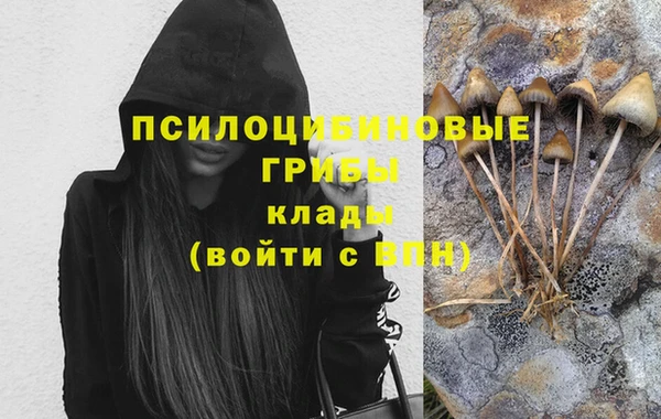 ешки Елабуга