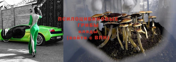 ешки Елабуга