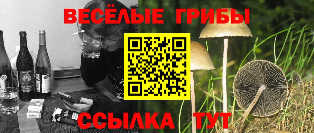 Галлюциногенные грибы мицелий Истра